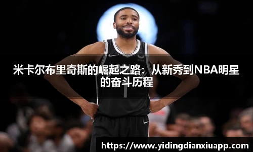 完美体育登录入口